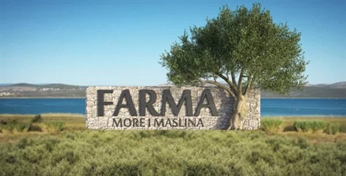 Farma More i Maslina