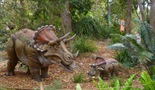 Živalski vrt Taronga - V zakulisju