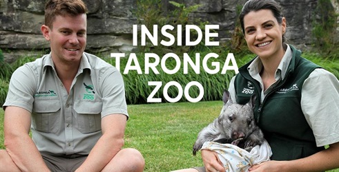 Zoološki vrt Taronga iznutra