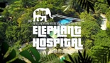 Bolnica za slonove