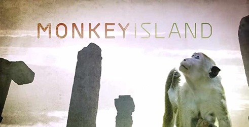 Otok majmuna