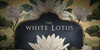 Beli lotos