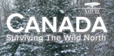 Canada: Surviving the Wild North