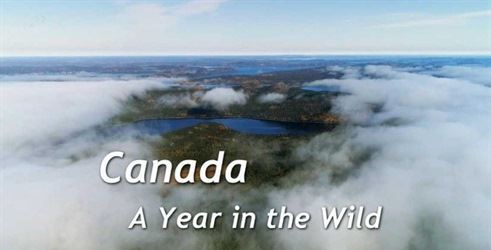 Kanada: Godina u divljini
