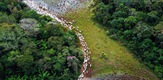 Pantanal - Brazil's Natural Miracle