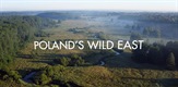 Polens Osten: Zwischen Wisenten, Wölfen und Elchenf / Poland's Wild East