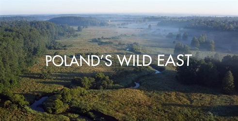 Poljski divlji zapad