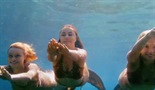 Mako morske deklice