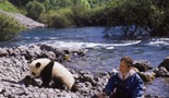 Velika pandina avantura