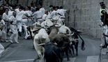 Utrka sa bikovima u Pamploni