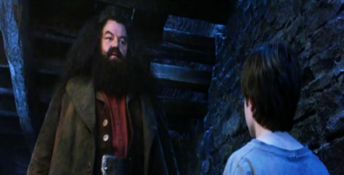 Saznajte istinu o Hagridu