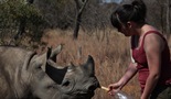 Sirotište za male nosoroge