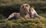 "Kralj lavova" je četvrti Disneyev film ove godine koji je zaradio milijardu dolara