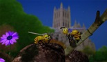 Pčelica na zadatku