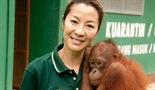 Spasavanje orangutana
