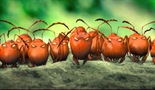 Dolina izgubljenih mrava
