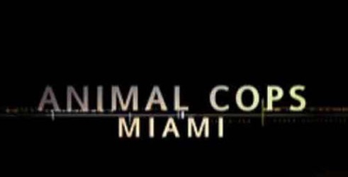 Policija za životinje - Miami