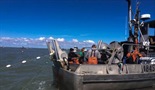 Aljaska Okršaj u Bristolskom zalivu