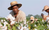 Steve McQueen optužuje filmsku industriju za ignoriranje ropstva