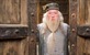 Dumbledore prestaje glumiti