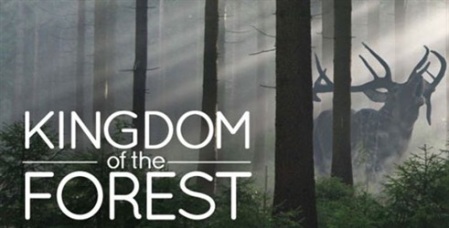 Šumsko kraljevstvo