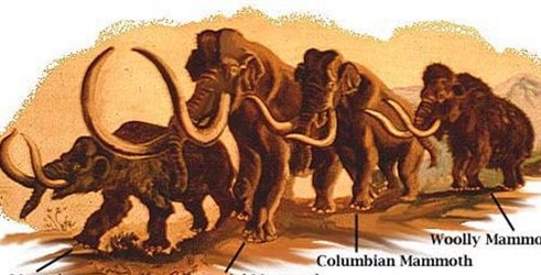 Prethistorijski slon