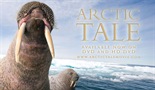 Arktička priča
