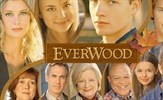 Počinje treća sezona dramske serije "Everwood" na RTL-u