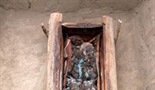 Mumija iz Jakute