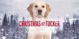 Božić s Tuckerom