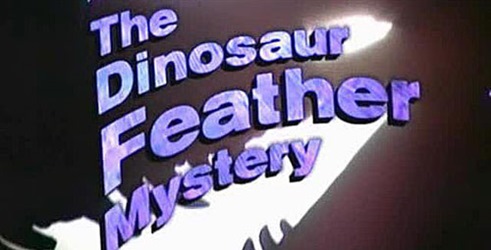 The Dinosaur Feather Mystery