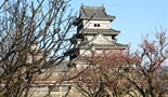 Carski grad Kyoto: Svetkovina Gion Matsuri