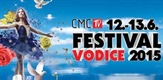 CMC festival 2015 LIVE