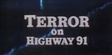 Teror na autoputu 91