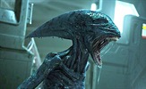 "Alien: Covenant" našao glavnu glumicu