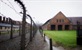 Discovery Channel emitira "Jedan dan u Auschwitzu"