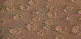 Mystery of the Fairy Circles