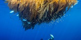 More nade: Američka podvodna blaga