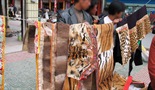 Iza Kulisa: Trgovina tigrovima