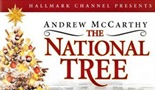 Nacionalno drvo