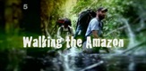 Walking the Amazon