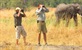 Safari-braća