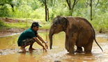 Šri Lanka - Otok slonova
