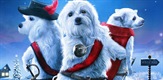 Tri psa spašavaju Božić