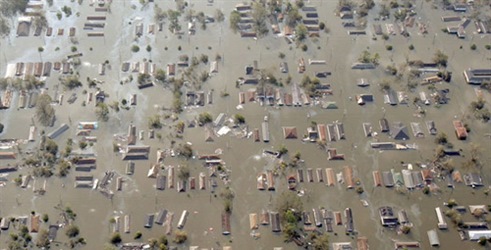 Surviving Katrina