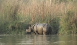 Potjera za nosorozima