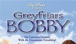 Bobby iz Greyfriarsa