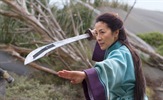 Michelle Yeoh primit će se mača u novoj prequel seriji "Witchera"