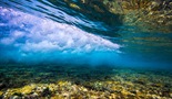 Veliki koralni greben z Davidom Attenboroughom