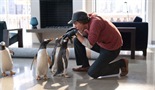 Pingvini gospodina Popera / Pingvini moga tate